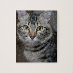 Maak Je Eigen Kat Huisdier Foto Aangepaste Foto Legpuzzel