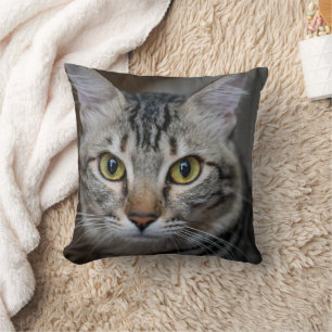 Maak Je Eigen Kattenhuisdier Foto Aangepaste Foto Kussen