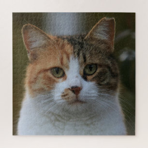 Maak Je Eigen Kattenhuisdier Foto Aangepaste Foto Legpuzzel