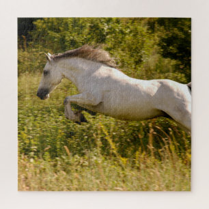 Maak Je Eigen Paarden Foto Aangepast Legpuzzel