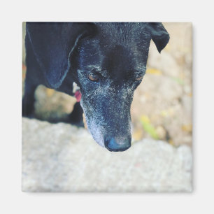 Maak je eigen tapelmagneten magneet