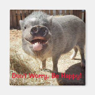 Maak je geen zorgen, wees blij, pik Square Magnet Magneet