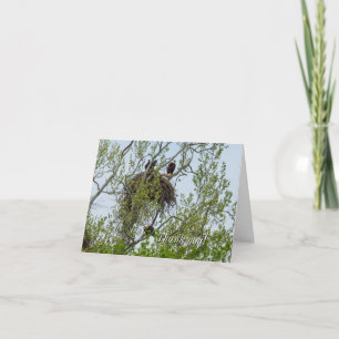 Maak kennis met de Eagle Family Thank You Card Bedankkaart