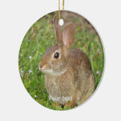 Maak leuke bunny fotografie persoonlijk keramisch ornament (Links)