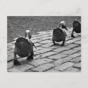 Maak Manier voor Eendjes Briefkaart