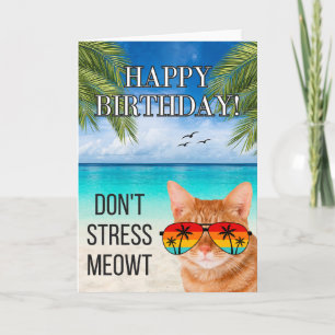 Maak me niet gek Meowt Grappige tabby kat Gefelici Kaart
