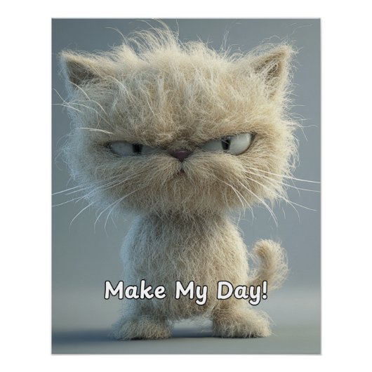 Maak mijn dag-gekke kat perfect poster (Voorkant)