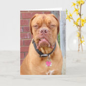 MAAK MIJN DAG KAART (Gele Bloem)