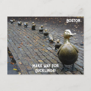 Maak plaats voor de eendjes! briefkaart