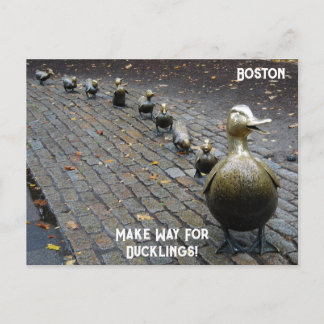 Maak plaats voor de eendjes! briefkaart