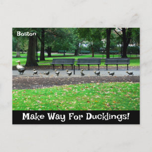 Maak plaats voor Ducklings Briefkaart