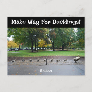 Maak plaats voor Ducklings Briefkaart