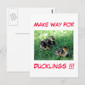 Maak plaats voor snoep!!! briefkaart (Voorkant / Achterkant)