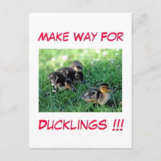 Maak plaats voor snoep!!! briefkaart (Voorkant)