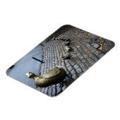 Maak plaats voor snoep! Magneet (Linkerzijde)