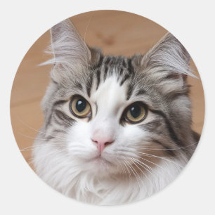 Maak uw eigen aangepaste foto Huisdier Kat Hond Di Ronde Sticker