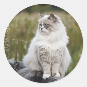 Maak uw eigen aangepaste foto Huisdier Kat Hond Di Ronde Sticker