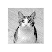 Maak uw eigen aangepaste foto Huisdier Kat Hond Di Rubberstempel (Afrduk)