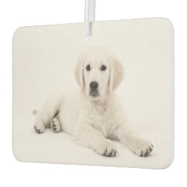 Maak uw eigen beide kanten Pet Photo Custom uniek Luchtverfrisser