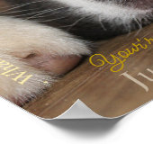 Maak van uw dichter de ster zij het Poster van het (Hoek)