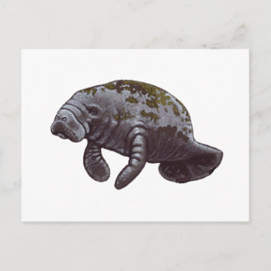 MAAKT ONS VERGETEN BRIEFKAART