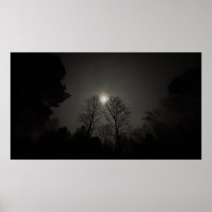 Maan boven Bomen, poster