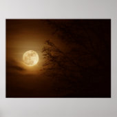 Maan door de bomen poster (Voorkant)