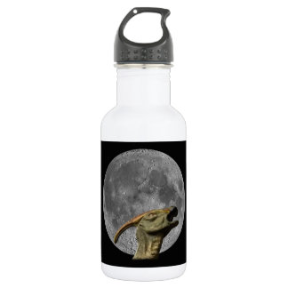 Maan en Charonosaurus Waterfles