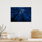 Maan in de Night Sky Poster (Keuken)