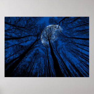 Maan in de Night Sky Poster