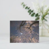 Maan over kersenbloesems briefkaart (Staand voorkant)