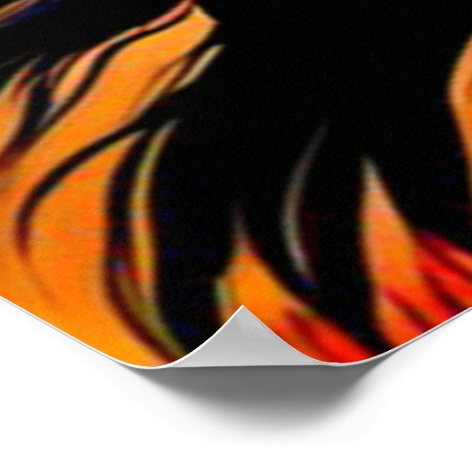 MAAND VAN HET INHEEMSE ERFGOED 14 POSTER (Hoek)