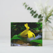 Maandaanventilator 01 briefkaart (Staand voorkant)