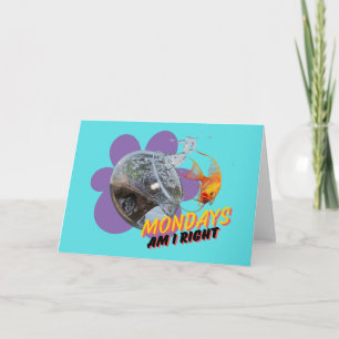 Maandag, heb ik gelijk? kaart