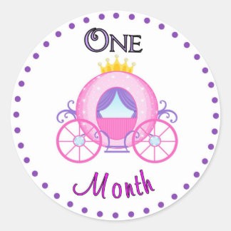 Maandelijkse Baby Sticker Aangepast gepersonalisee