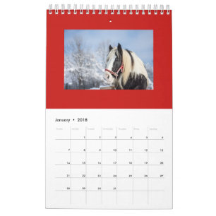 MAANDELIJKSE HORSE PLANNING CALENDAR KALENDER