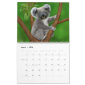 Maandelijkse kalender natuur (Mar 2026)