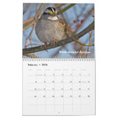 Maandelijkse kalender voor tuinvogels (Feb 2026)
