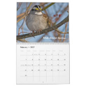Maandelijkse kalender voor tuinvogels (Feb 2027)