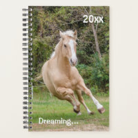 Maandelijkse planning voor Palomino Horse