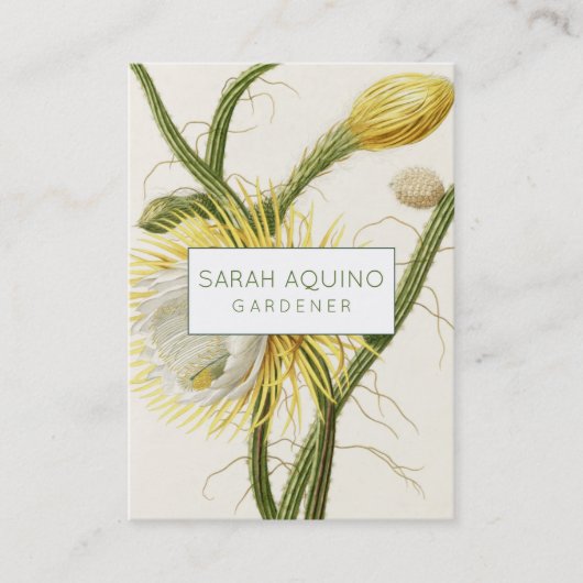 maanlicht-cactus visitekaartje (Voorkant)