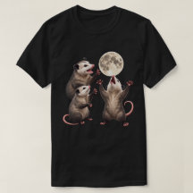 Maanlicht Gehuil van de Opossum Wilde Dieren Nacht