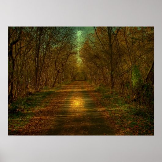 maanlicht poster (Voorkant)