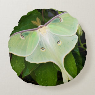 Maanmot op Carnaby Clematis Rond Kussen