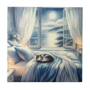 Maanverlichte slaapkamer aan de kust met slapende tegeltje