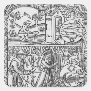 Maart, bomen voor het vissen en snoeien, Pisces Vierkante Sticker