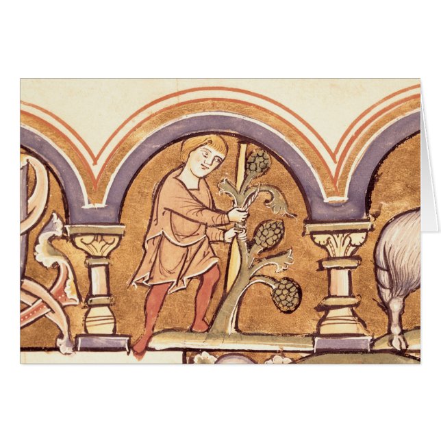 Maart: Grafbomen (Voorkant Horizontaal)