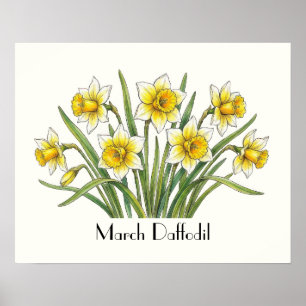 Maart Narcis Bloemen Poster