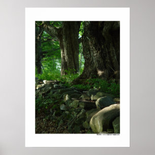 Maart van het Poster van Maples