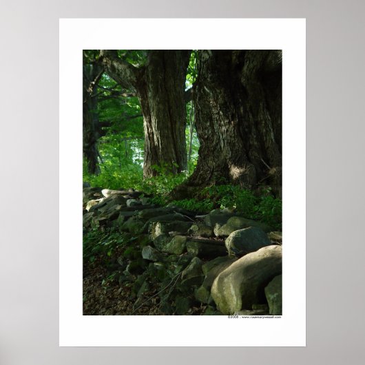 Maart van het Poster van Maples (Voorkant)